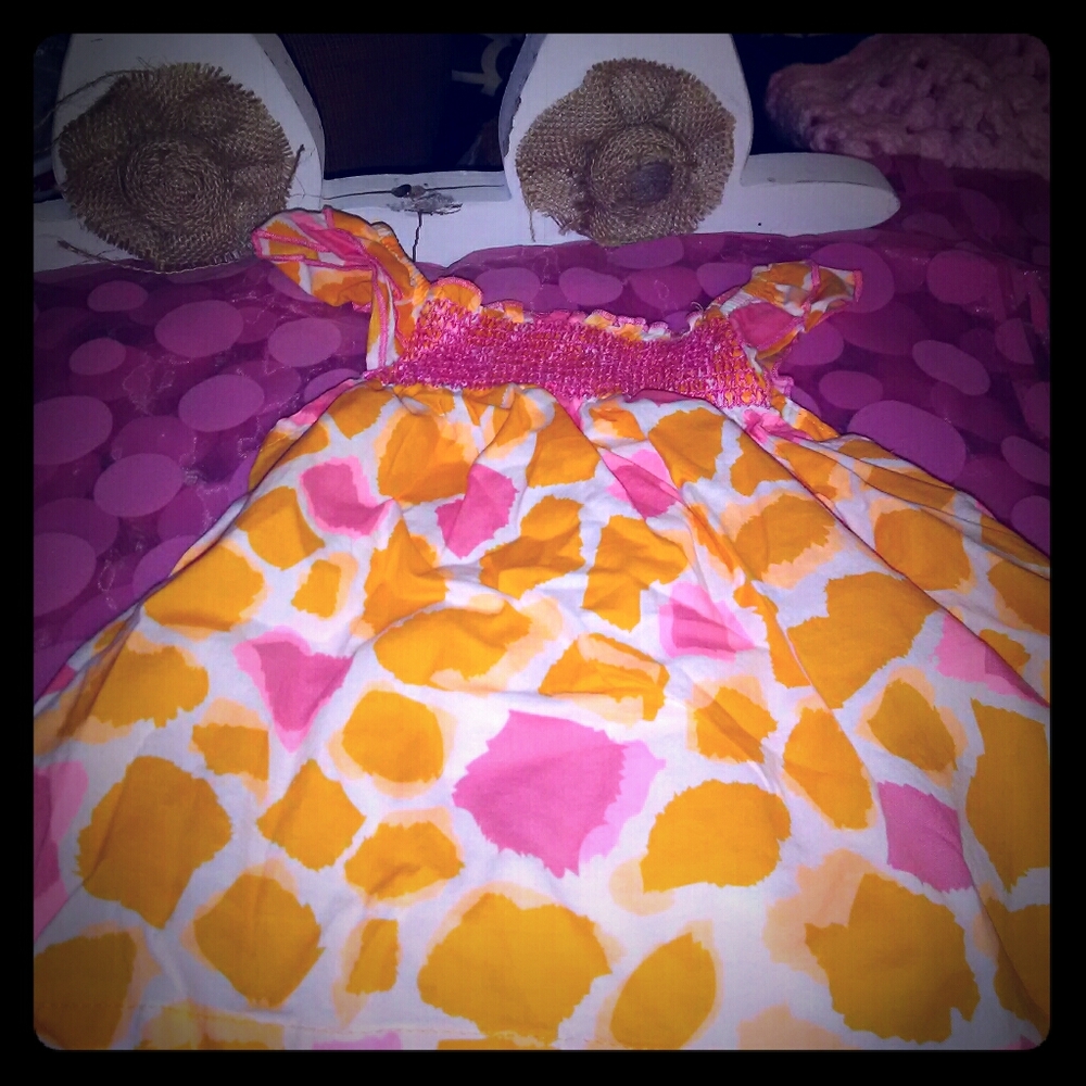 18 months Carter's dress